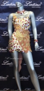 LATIN SALSA COMPETITION DRESS LDW (LS123) only on sale on latinodancewears.com