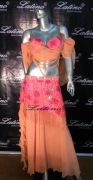 BELLY DANCE COMPETITION DRESS LDW (LT251)