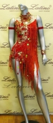 LATIN SALSA COMPETITION DRESS LDW (LS178) only on sale on latinodancewears.com