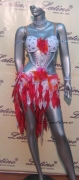 LATIN SALSA COMPETITION DRESS LDW (LS31) only on sale on latinodancewears.com