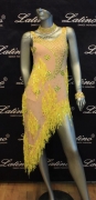 LATIN SALSA COMPETITION DRESS LDW (LS151) only on sale on latinodancewears.com